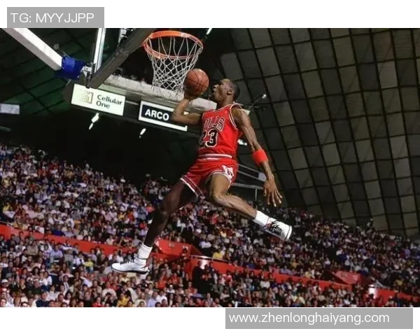 乔丹与姚明的篮球传奇：从赛场到漫画的精彩旅程