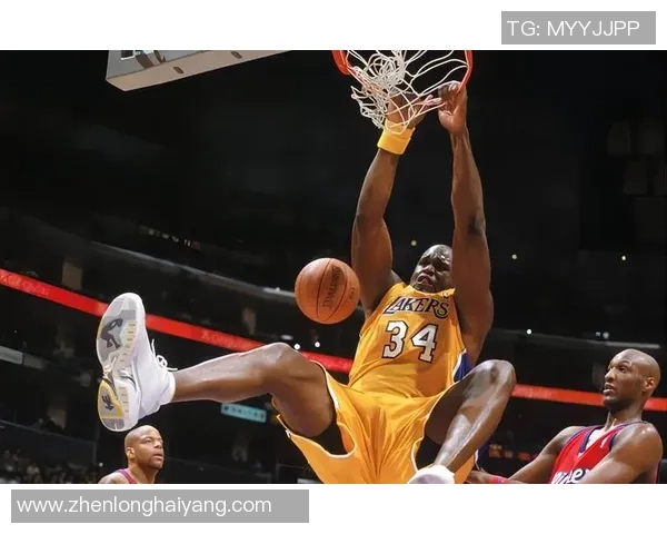 姚明与大鸟的传奇对决：篮球场上的巨人之梦与飞翔之美