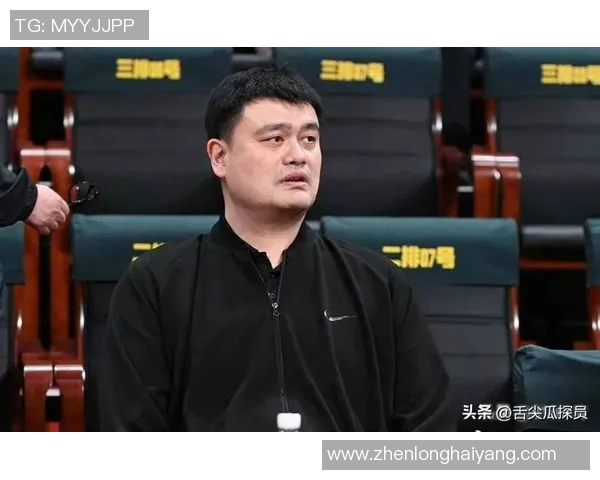 姚明的财富究竟有多少亿背后的故事与成就揭秘