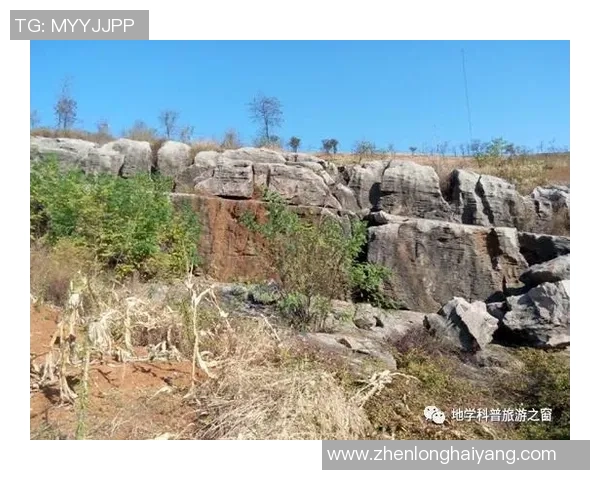 广西姚明忠：探索篮球梦想与乡村振兴的完美结合之路