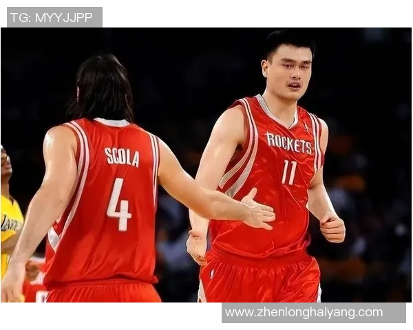 姚明退役数据回顾：传奇生涯的辉煌成就与影响分析