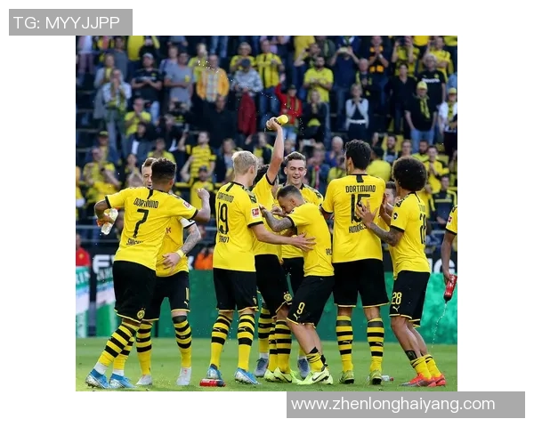 德甲激战莱比锡与多特蒙德平局点球大战精彩瞬间回顾与十大进球分析