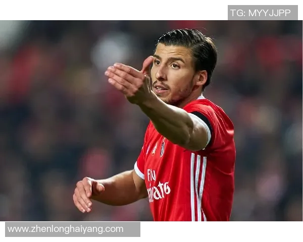 中超激战本菲卡逆转曼联乌龙球成比赛转折点引发全场狂欢