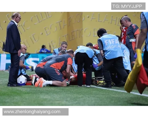 英超精彩对决多特蒙德狂胜巴黎圣日耳曼补时进球点燃全场激情