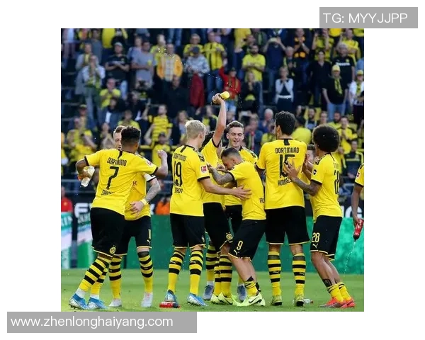 欧冠焦点战:多特蒙德绝杀那不勒斯战术解析与精彩瞬间回顾 欧冠焦点战:多特蒙德绝杀那不勒斯战术解析与精彩瞬间回顾